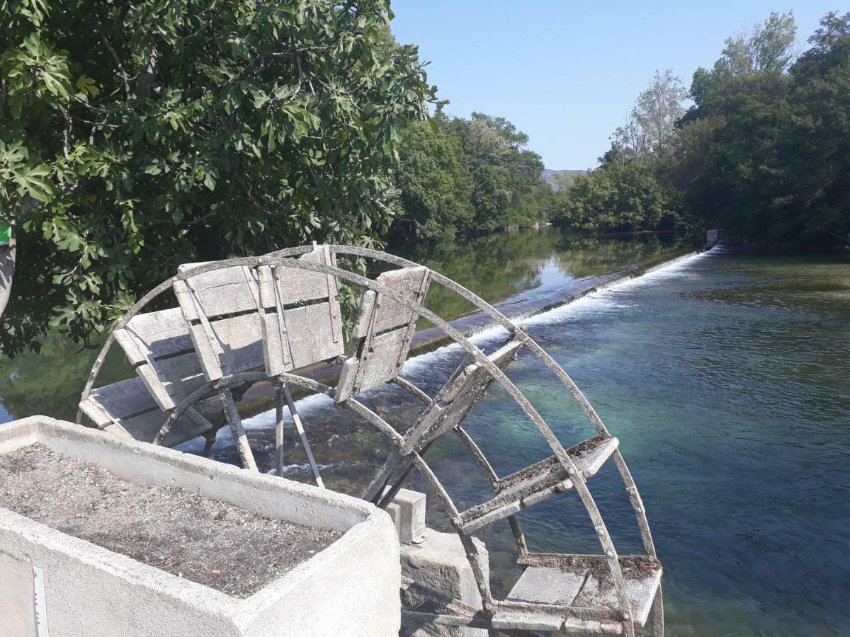 Mas Et Gite De La Picholine LʼIsle-sur-la-Sorgue المظهر الخارجي الصورة